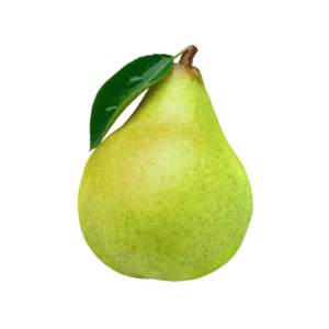 Armud