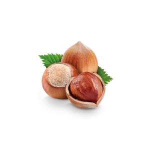 Fındıq
