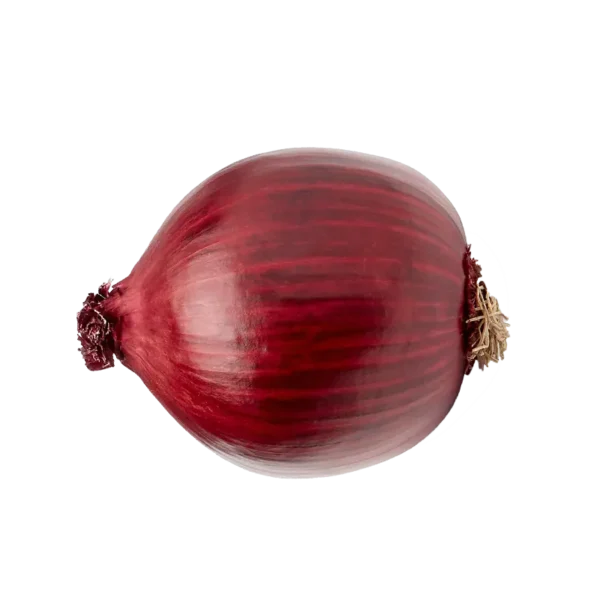 Soğan