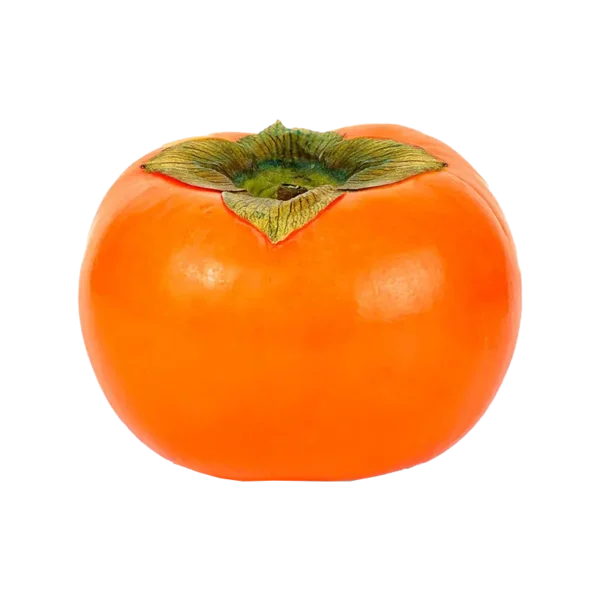Xurma